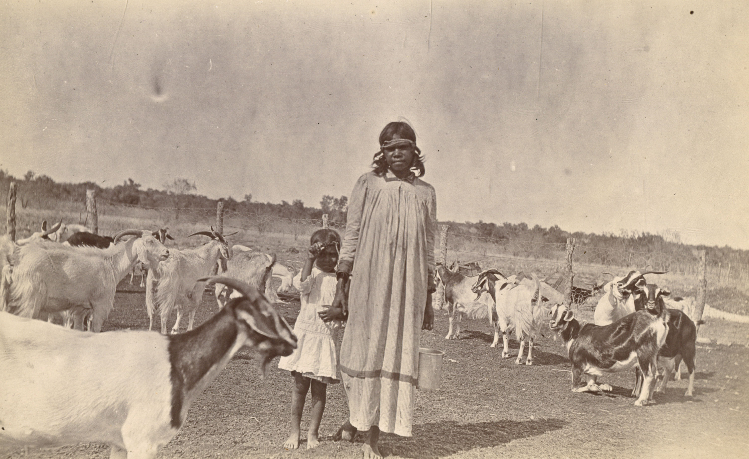 Aboriginal milkmaid with goats, Headingly Station, Queensland, c. 1920s (K1809).