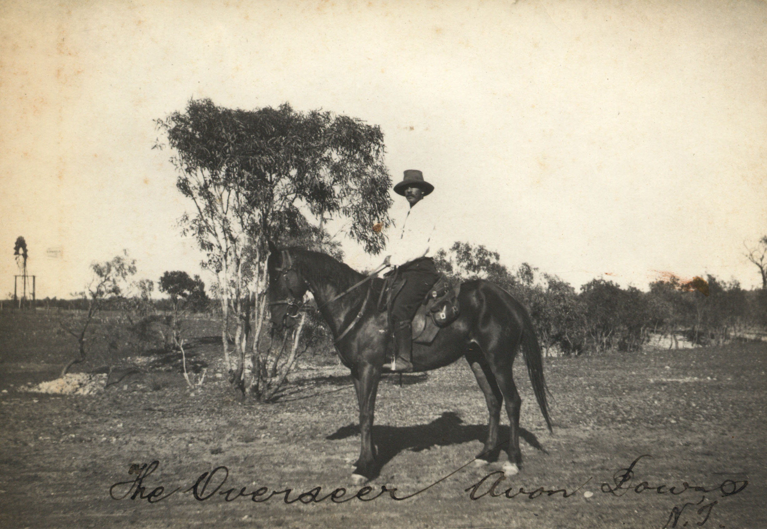 Overseer Jack Kennedy on his horse Daphne, Avon Downs Station, Queensland, c. 1910 (Z241-211). 