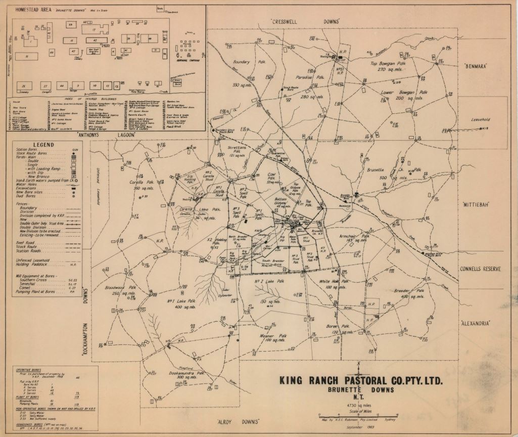 Map of Brunette Downs Station, Northern Territory, 1969 (C0262).