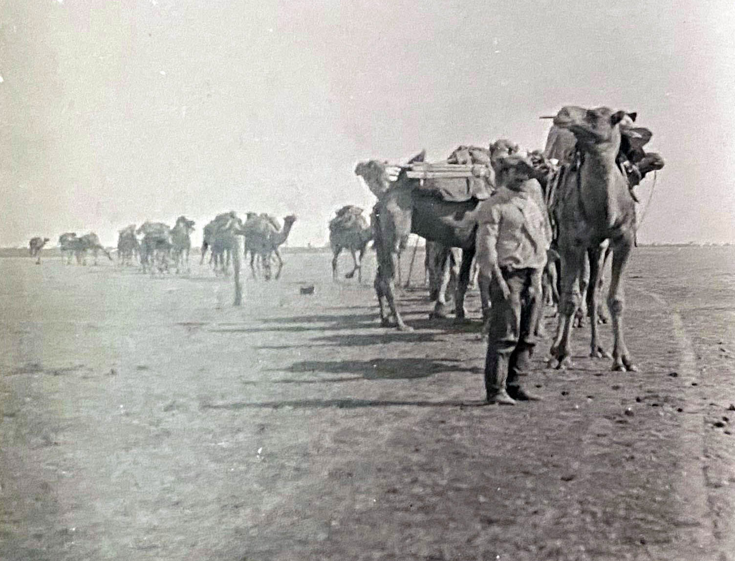 Camel team passing through Headingly Station, Queensland, undated (160-337).