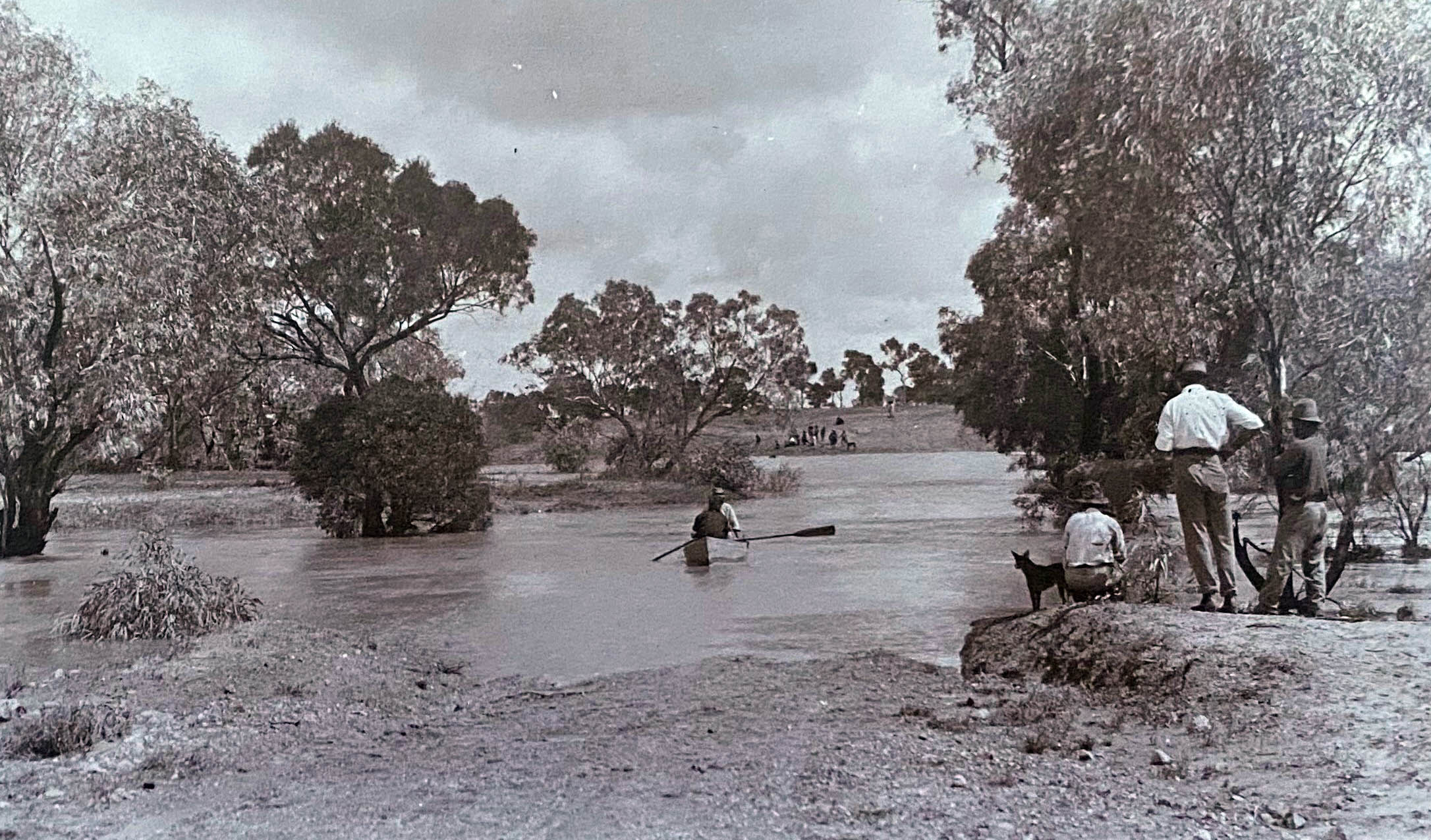 Mistake Creek in flood, Bladensburg Station, Queensland, undated (160-338).