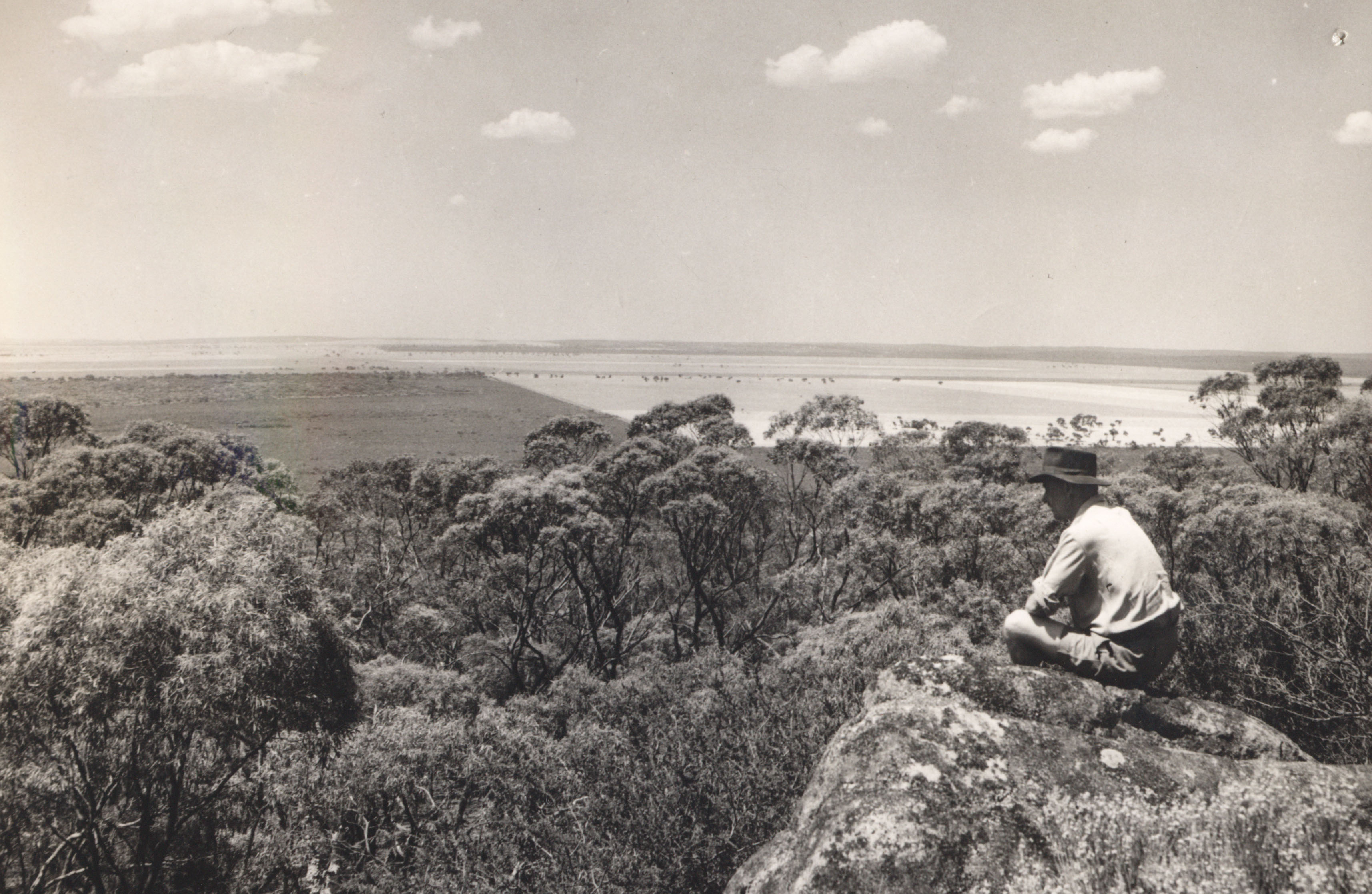 View over Ninety Mile Desert (Coonalpyn Downs), South Australia, c. 1950s (N434-1304-01).