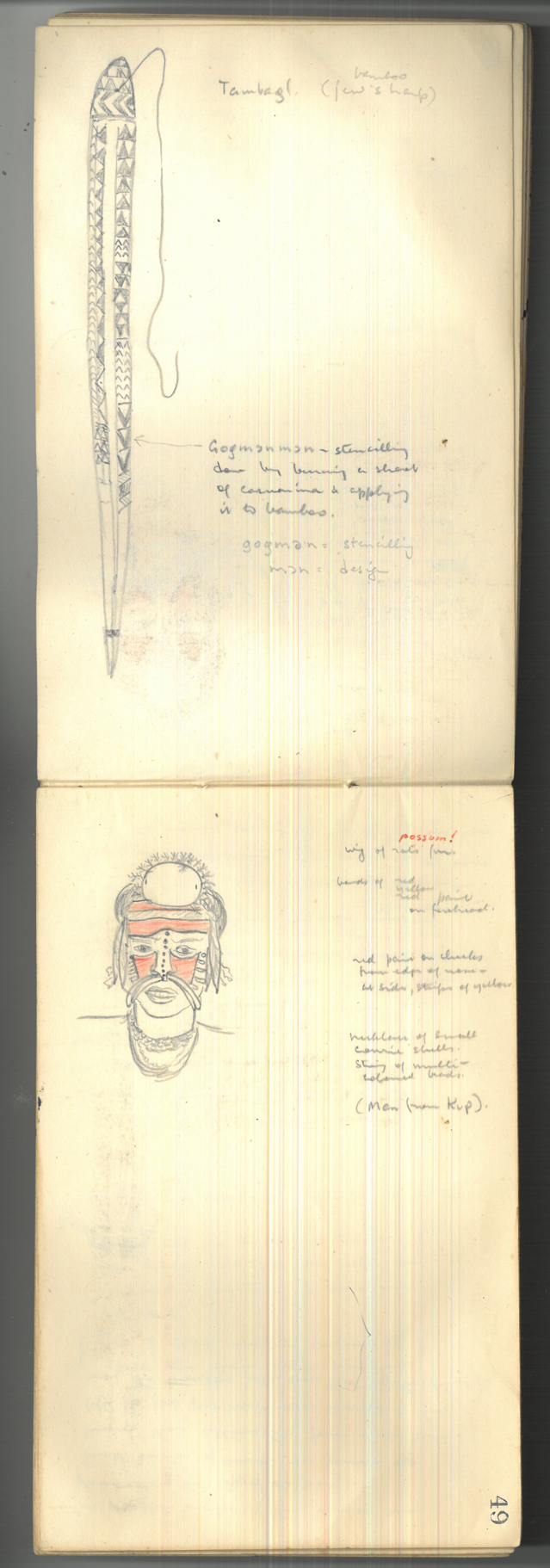 Field notebook with drawings