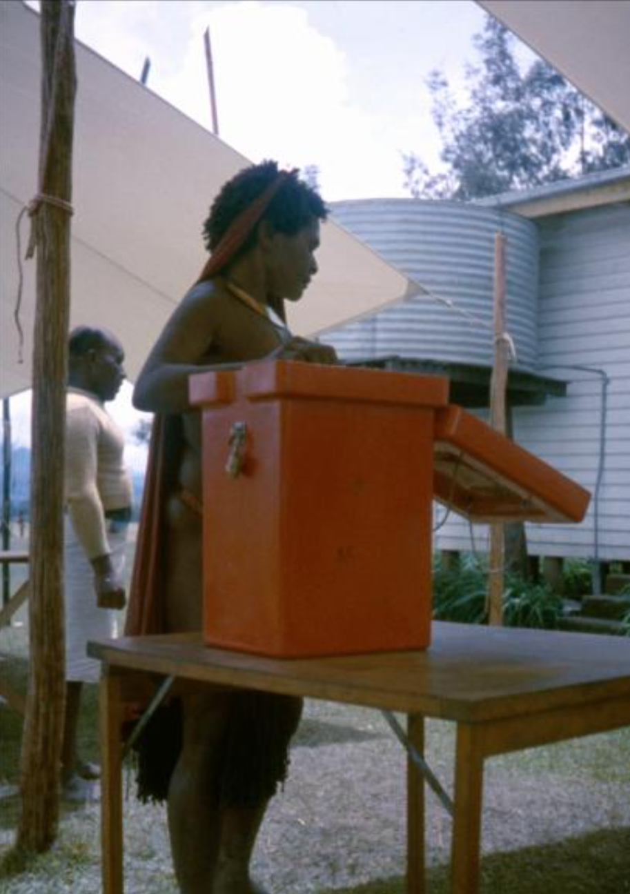 Woman voting