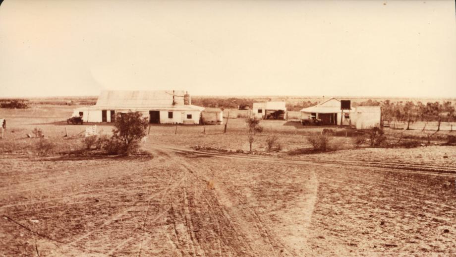 Dining room and workshops, Avon Downs Station, Northern Territory, 1925 (Z241-211).