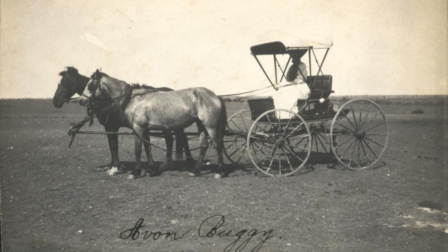 Mrs Luck riding in the station buggy, Avon Downs Station, Northern Territory, c. 1910 (Z241-211).