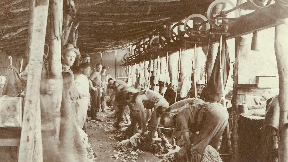 Shearers at Bladensburg Station, Queensland, c. early 1900s (160-338-11).