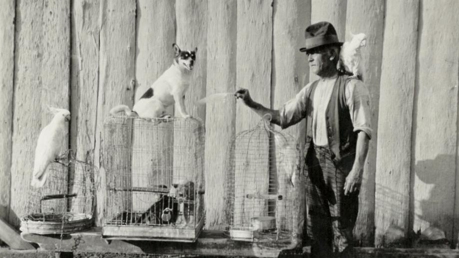 Stableman Danny Cuddy and pets, Goonoo Goonoo, Peel Estate, New South Wales, 1921 (161-517). Photographer - Geoffrey T.A. Scott.