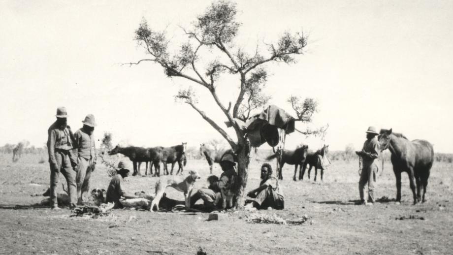 Aboriginal stockmen in camp, Headingly Station, Queensland, 1920s (68-56). 