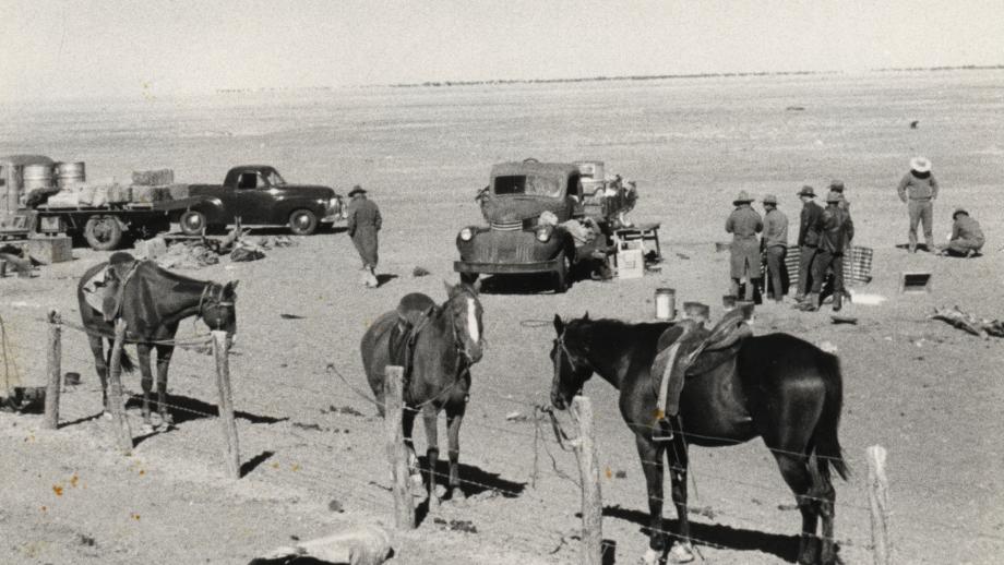 Stock camp, Avon Downs Station, Northern Territory, 1952 (Z241-211).