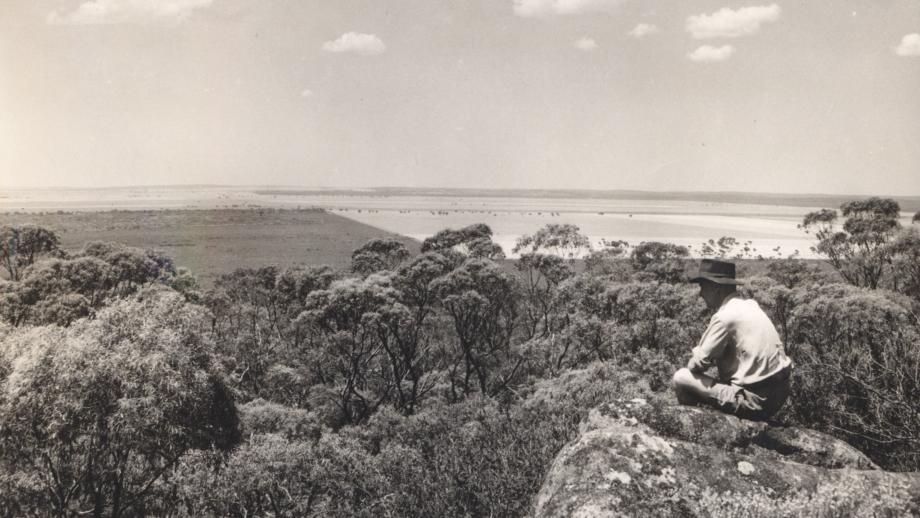View over Ninety Mile Desert (Coonalpyn Downs), South Australia, c. 1950s (N434-1304-01).