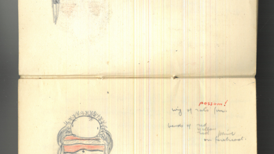 Field notebook with drawings