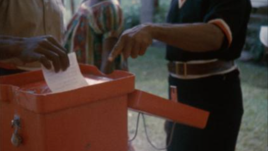 Voting at the election