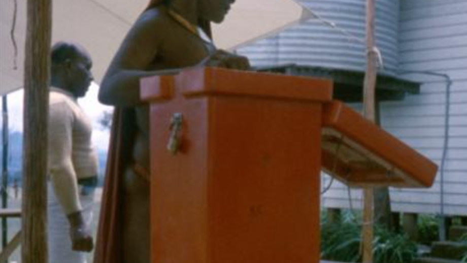 Woman voting